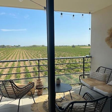 Appartement Vue Vigne Perpignan Dış mekan fotoğraf