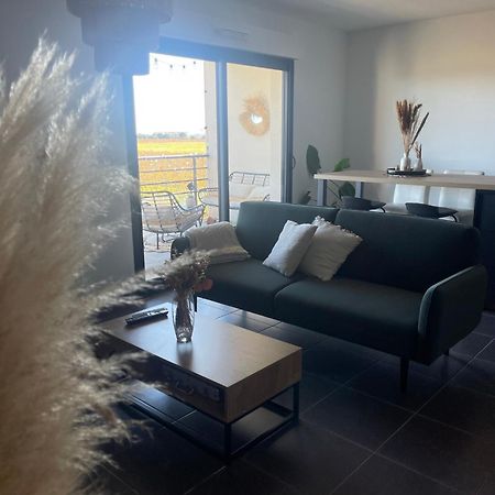 Appartement Vue Vigne Perpignan Dış mekan fotoğraf