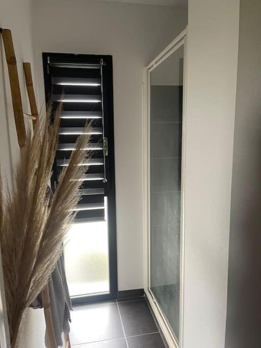 Appartement Vue Vigne Perpignan Dış mekan fotoğraf